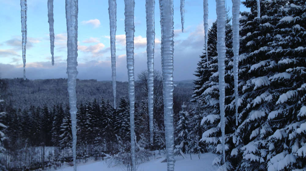 Eiszapfen vor verschneitem Wald - Schnee